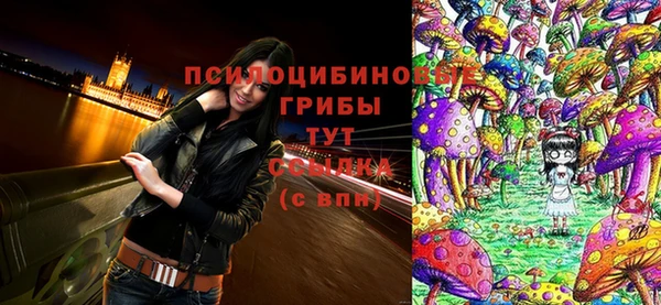 МДМА Костерёво