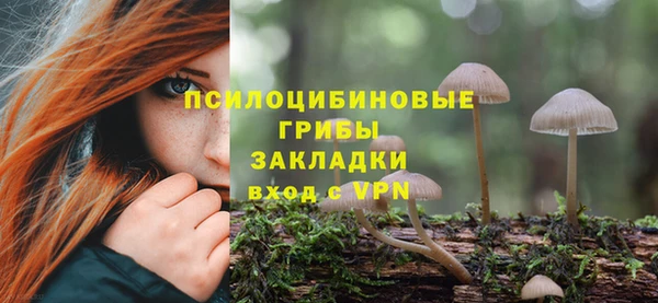 не бодяженный Коряжма