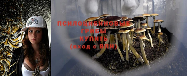 прущая мука Корсаков