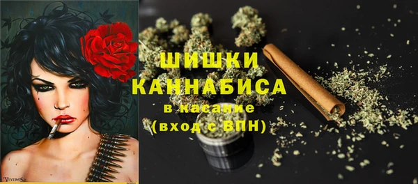 прущая мука Корсаков