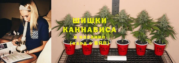 не бодяженный Коряжма